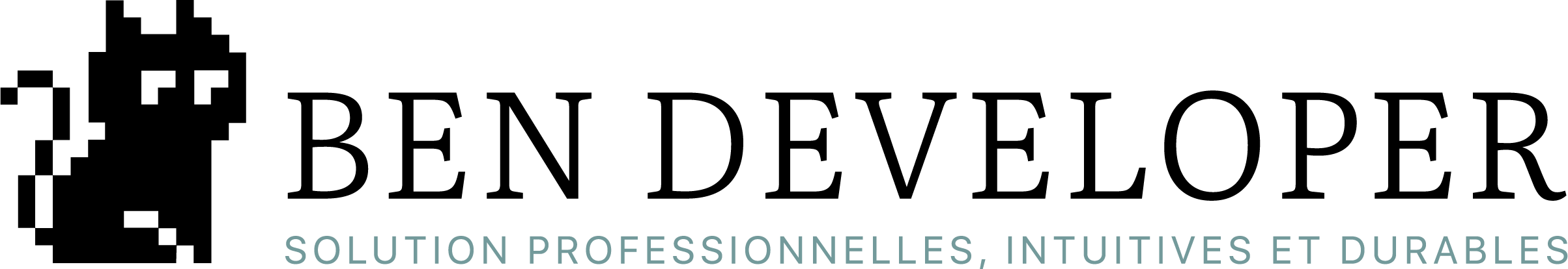 Logo Ben Développeur avec chat noir et le slogan "Solutions professionnelles, intuitives et durables"